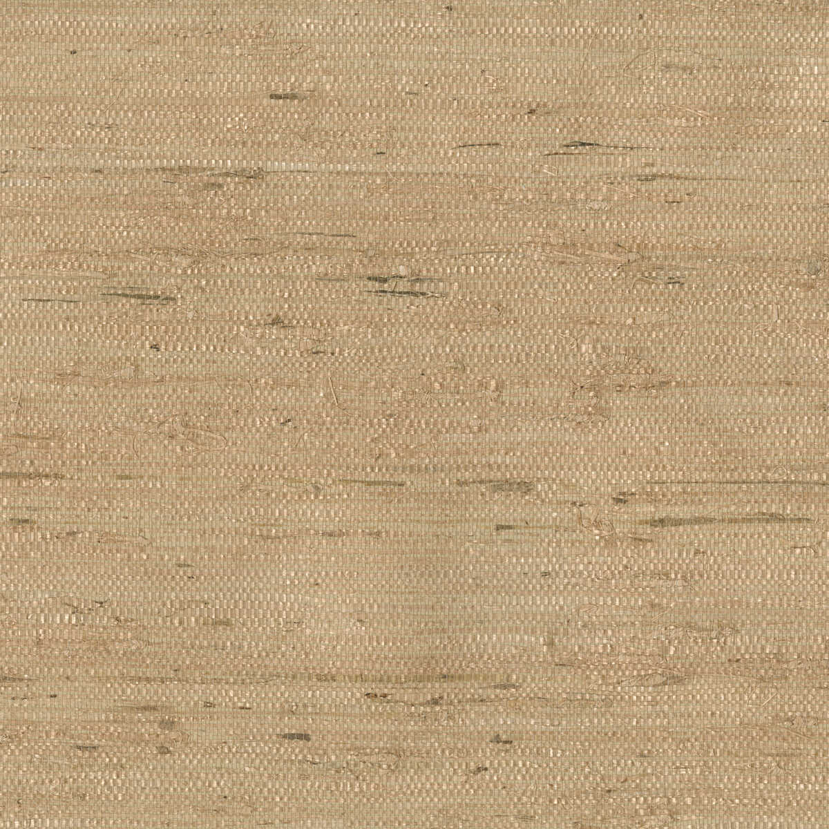 Kravet Design - W3303-16
