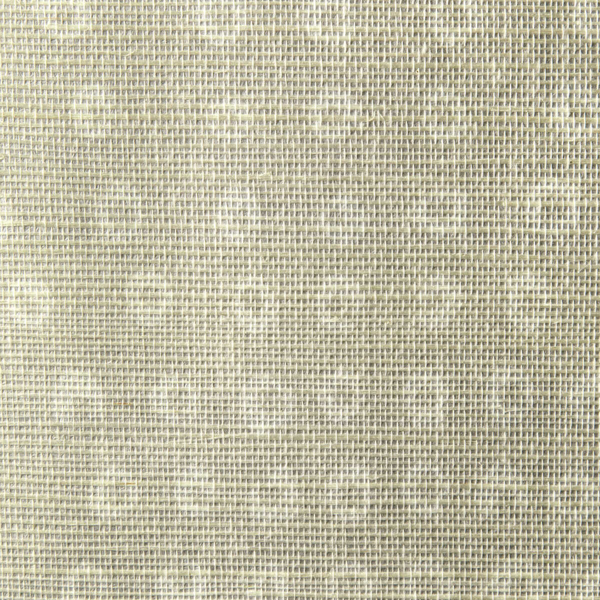 Puka - Flax - KRAVET COUTURE Papel pintado