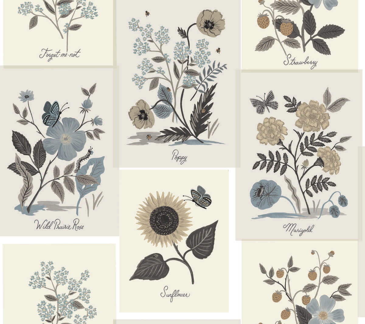 Kravet Design - W3947-6106
