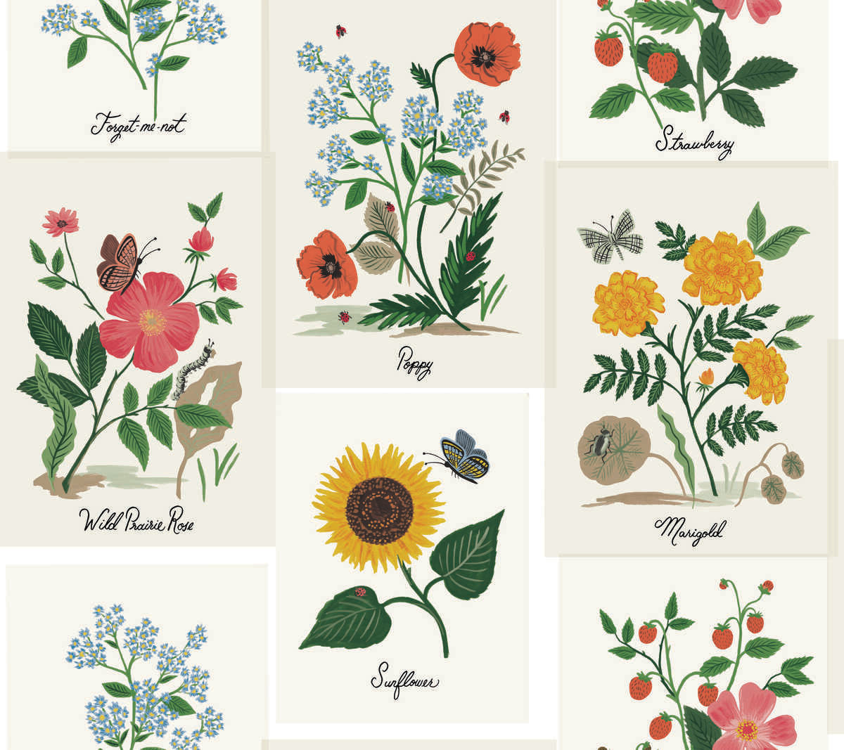 Kravet Design - W3947-73