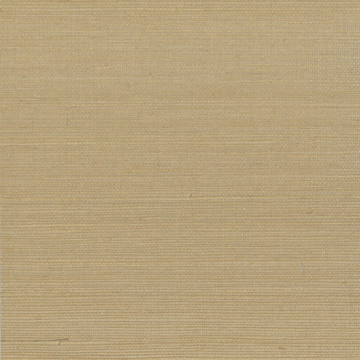 Kravet Design - W4003-4 - KRAVET DESIGN Wallpaper