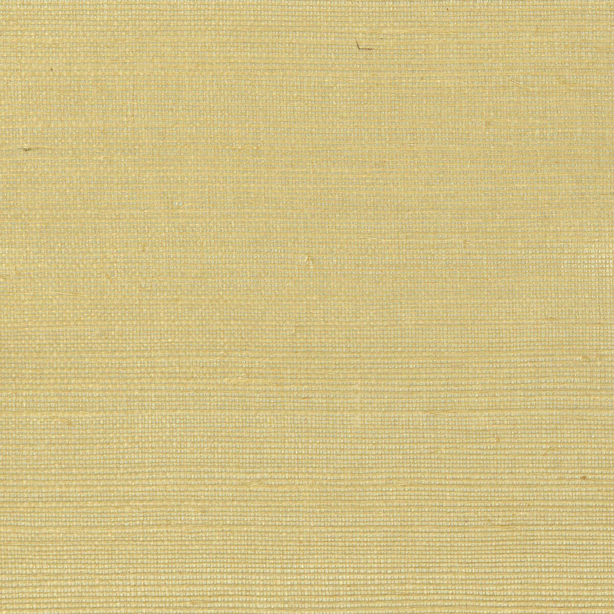 Kravet Design - W4003-40 - KRAVET DESIGN Wallpaper