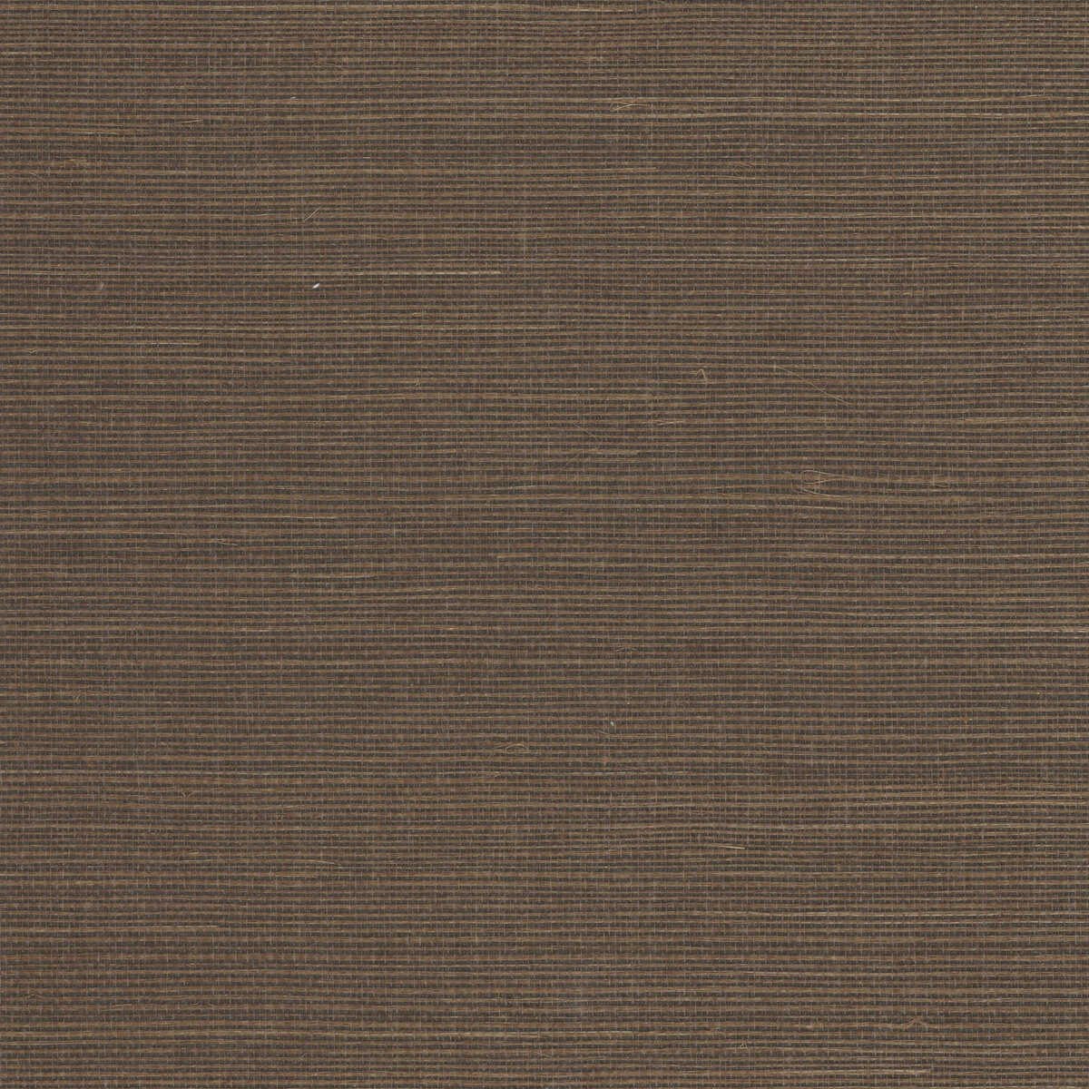 Kravet Design - W4003-66 - KRAVET DESIGN Wallpaper