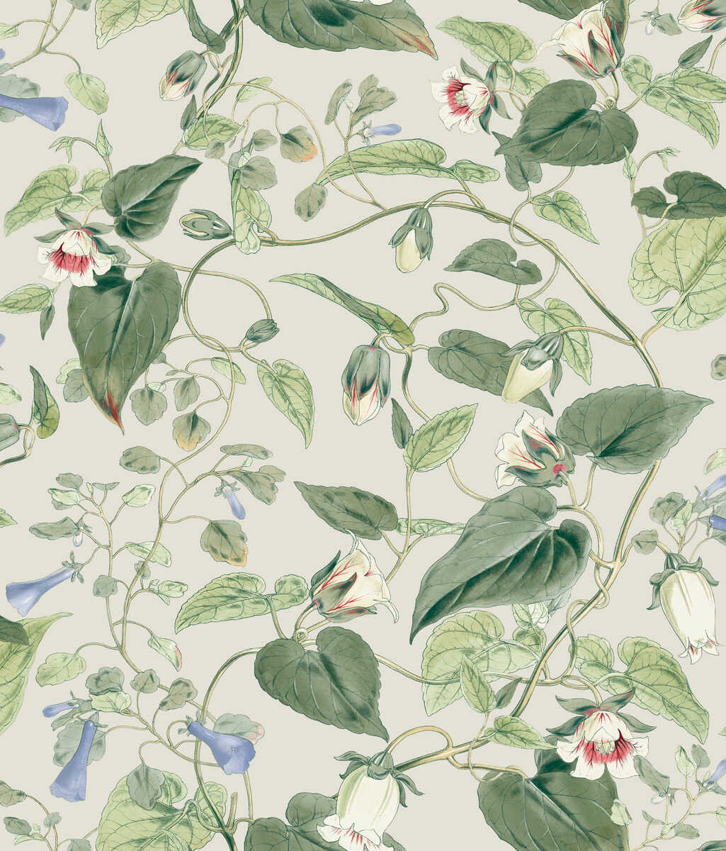 Kravet Design - W4132-315 - KRAVET DESIGN Wallpaper