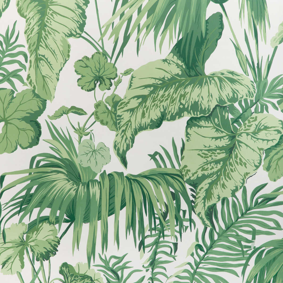 Yasuni Wp - Verde - KRAVET COUTURE Wallpaper