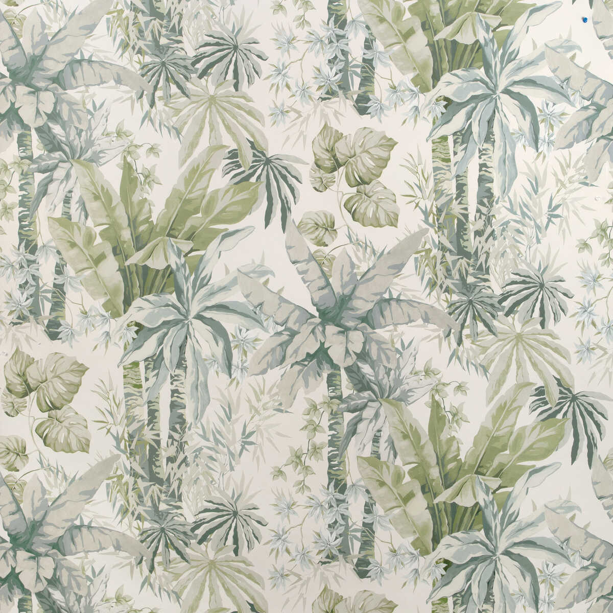Junglewood Wp - Blue Sage - KRAVET COUTURE Wallpaper