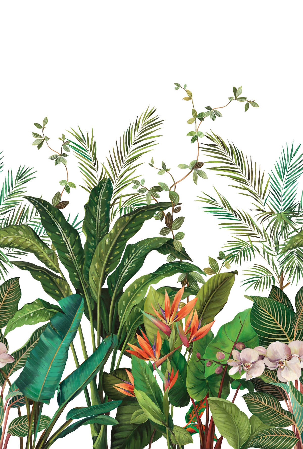 Kravet Design - W4180-312 - KRAVET DESIGN Wallpaper