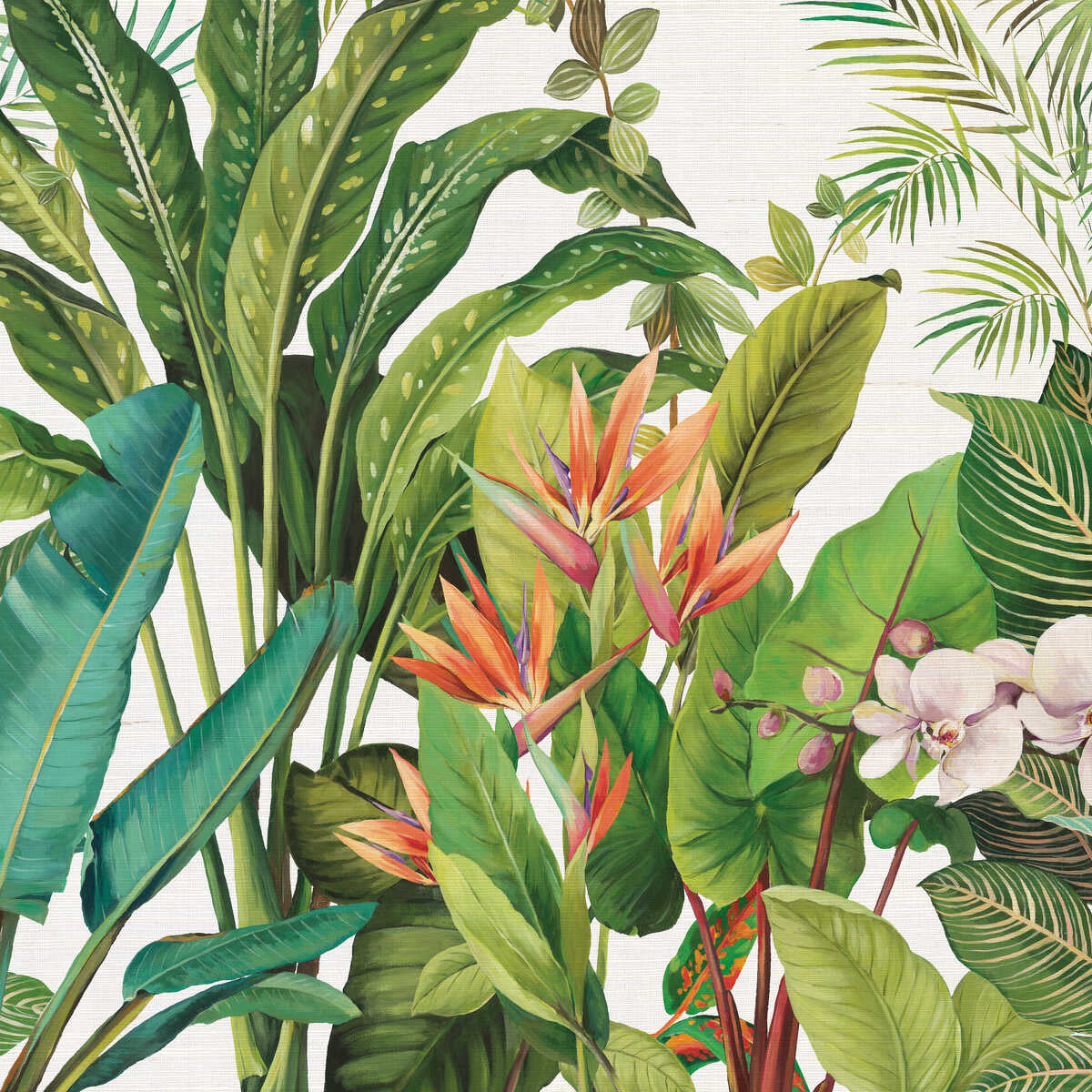 Kravet Design - W4181-312 - KRAVET DESIGN Wallpaper
