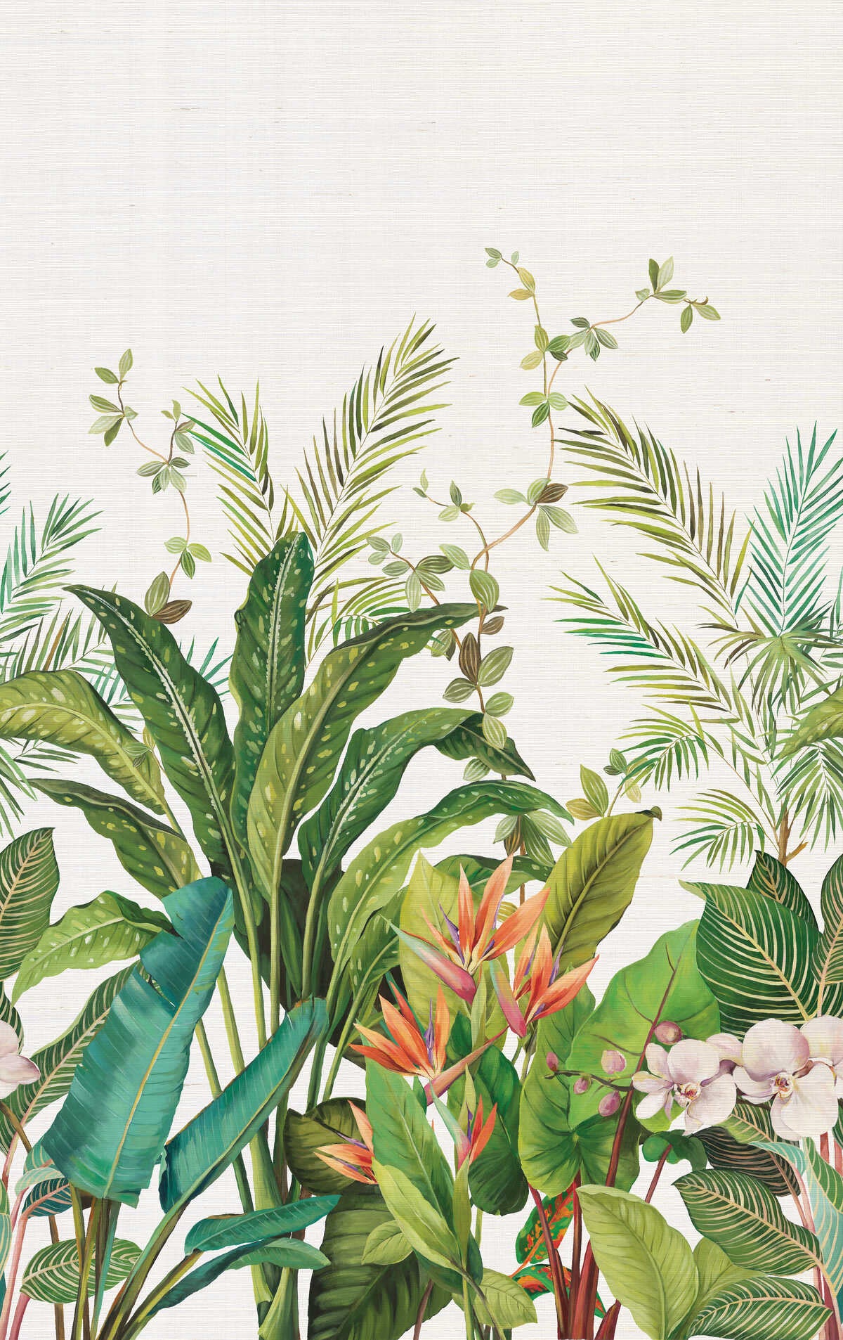 Kravet Design - W4181-312 - KRAVET DESIGN Wallpaper