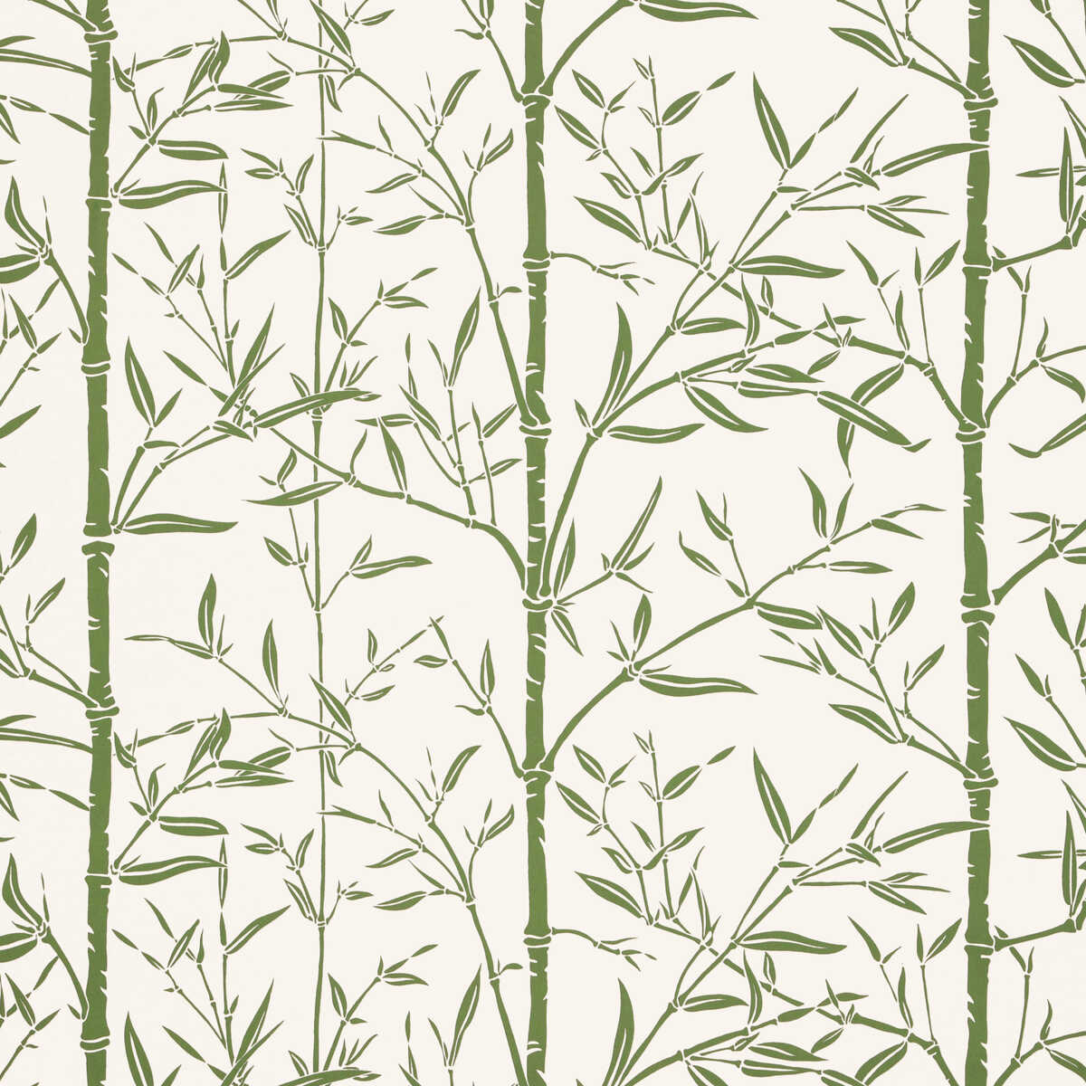 Bamboo Wp - Cactus - KRAVET COUTURE Papel pintado