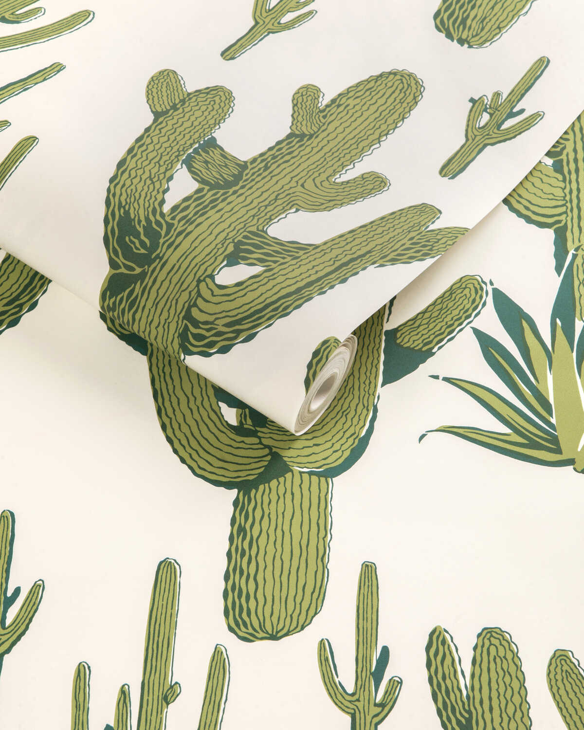 Cacti Land Wp - Agave - KRAVET COUTURE Papel pintado
