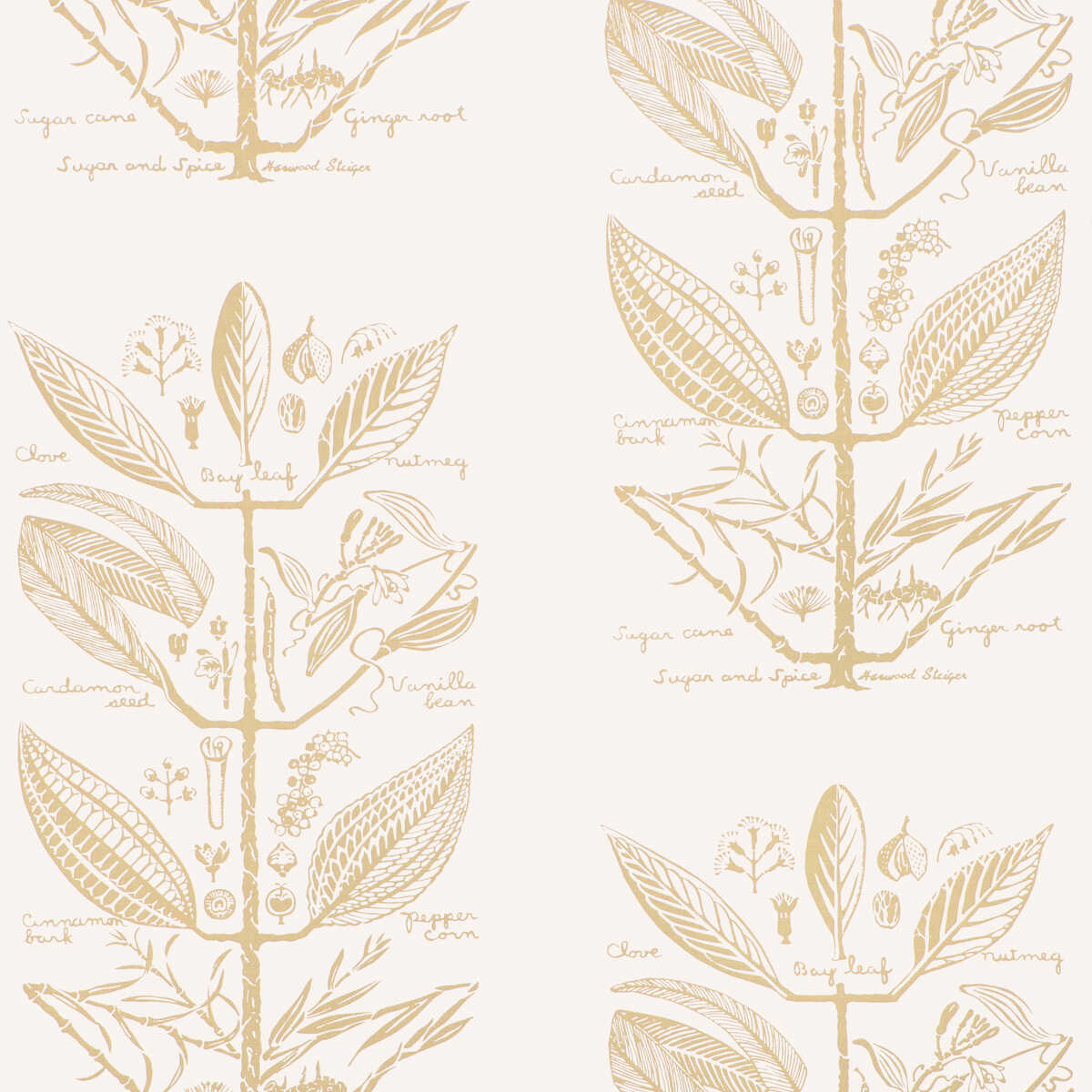 Sugar And Spice Wp - Sand - KRAVET COUTURE Papel pintado