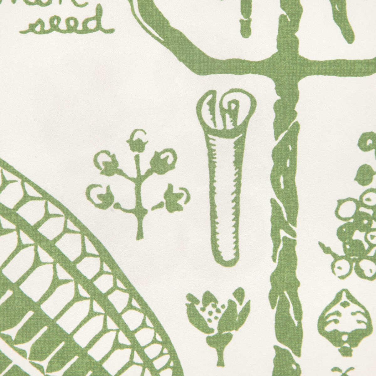 Sugar And Spice Wp - Cactus - KRAVET COUTURE Papel pintado