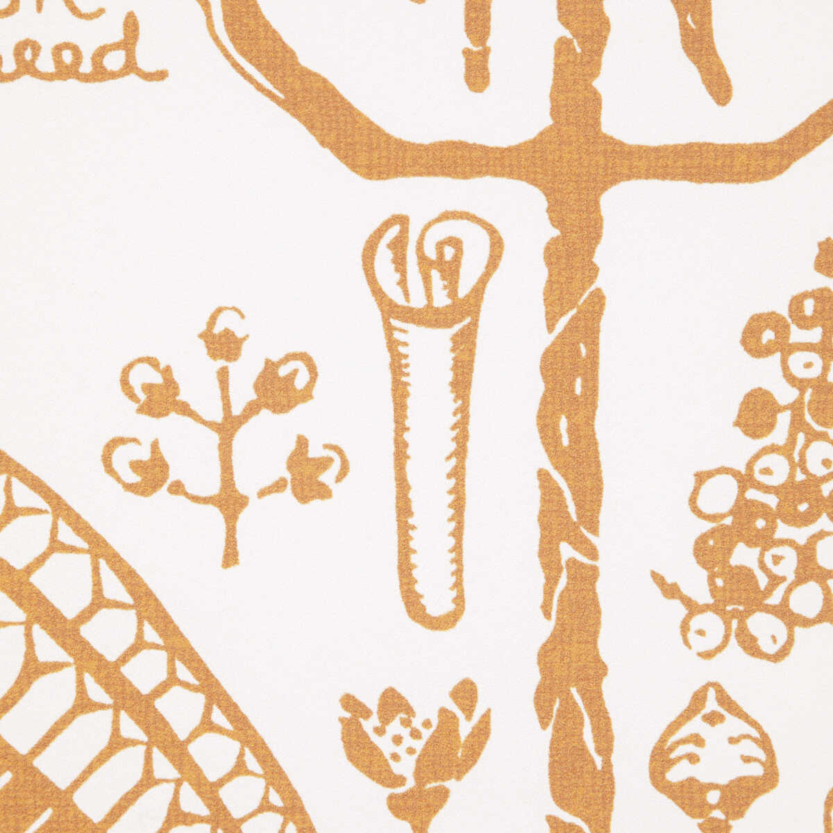 Sugar And Spice Wp - Gold - KRAVET COUTURE Papel pintado