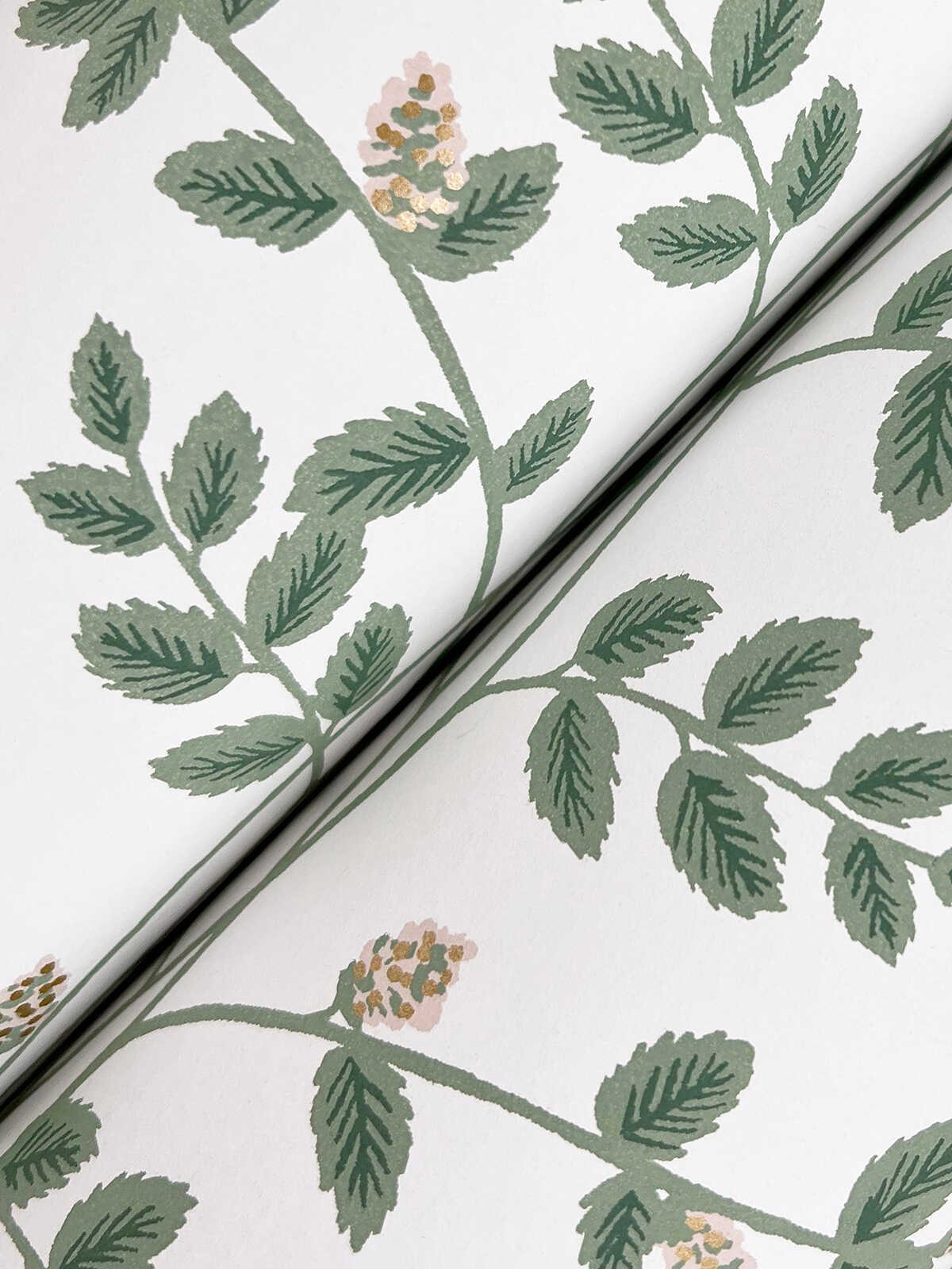 Kravet Design - W4290 - KRAVET DESIGN Wallpaper