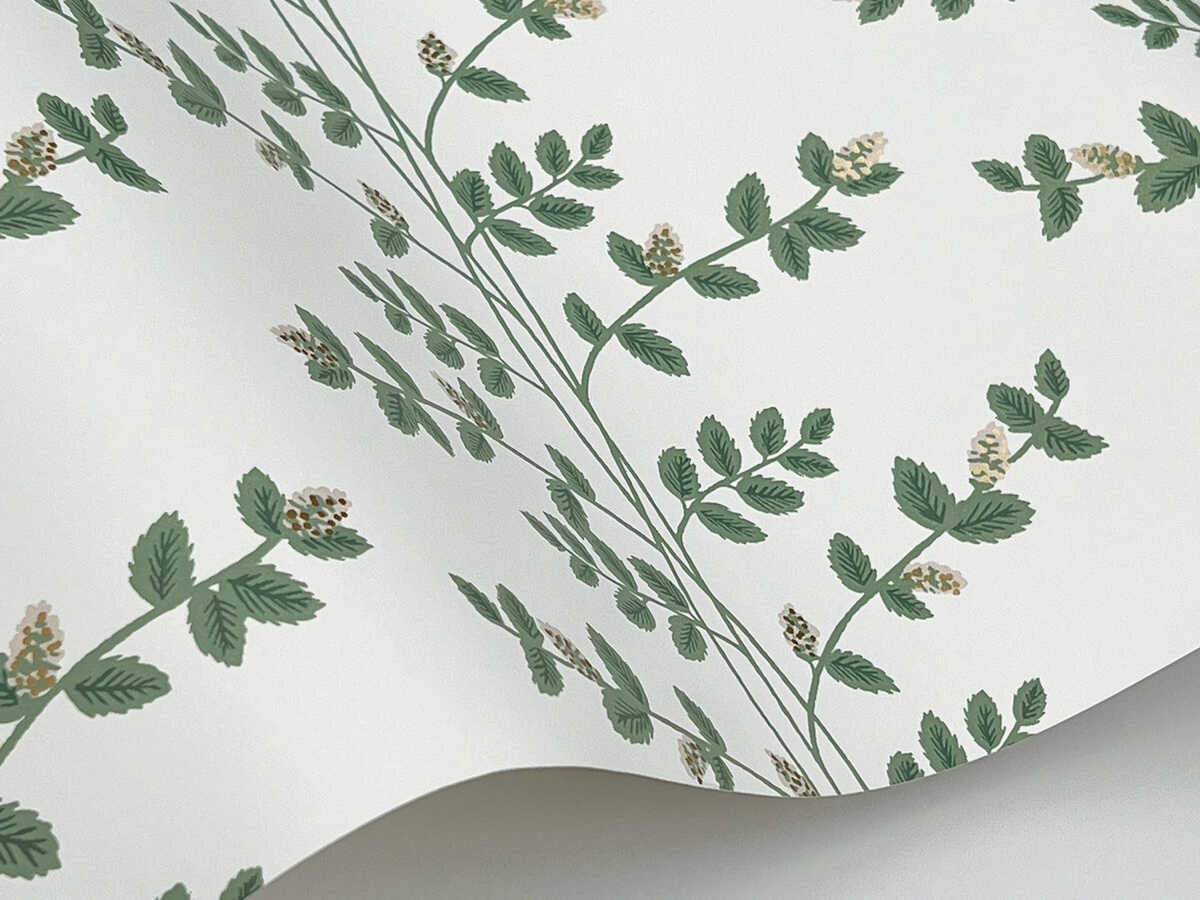 Kravet Design - W4290 - KRAVET DESIGN Wallpaper