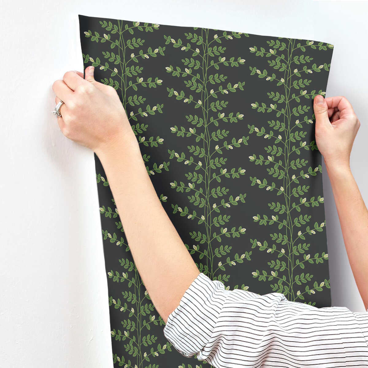Kravet Design - W4290 - KRAVET DESIGN Wallpaper
