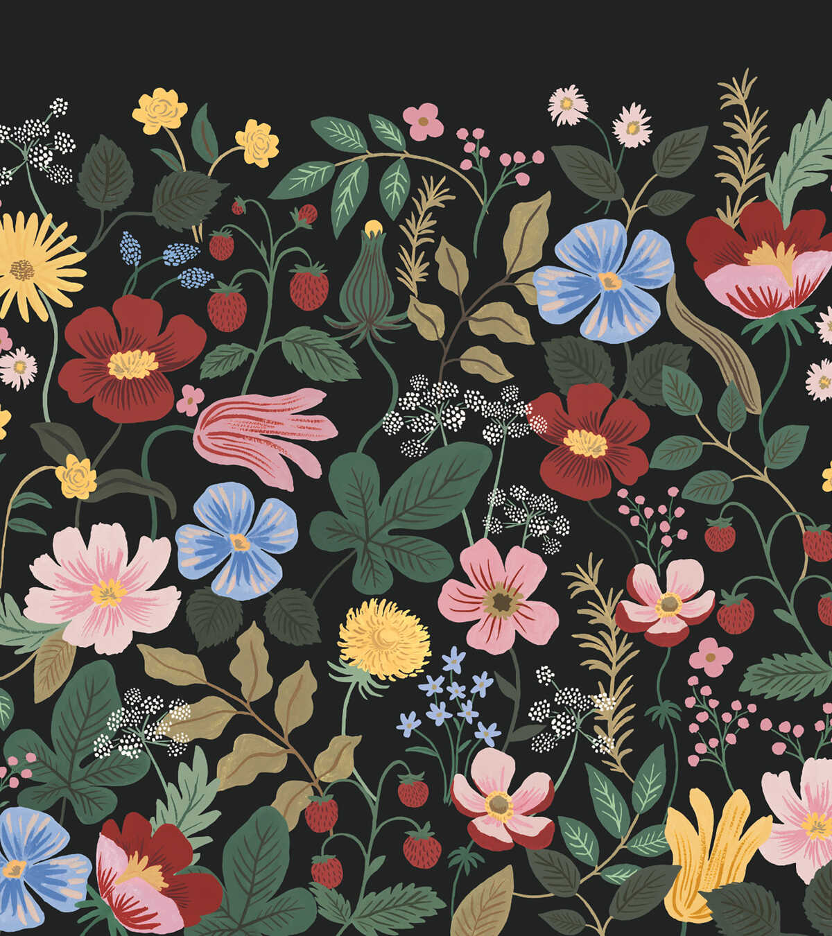 Kravet Design - W4303-817