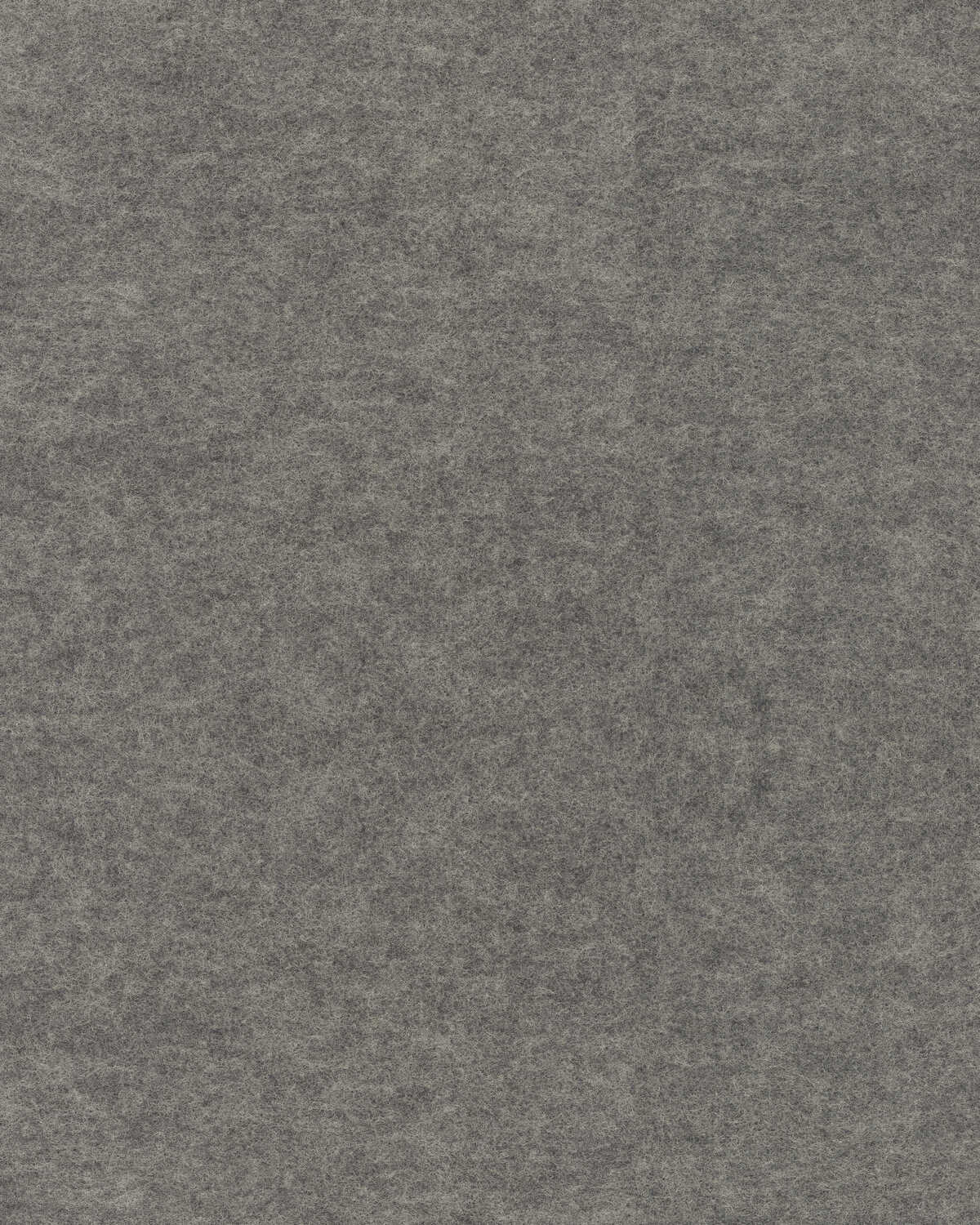 Repose - Steel - WINFIELD THYBONY Wallpaper