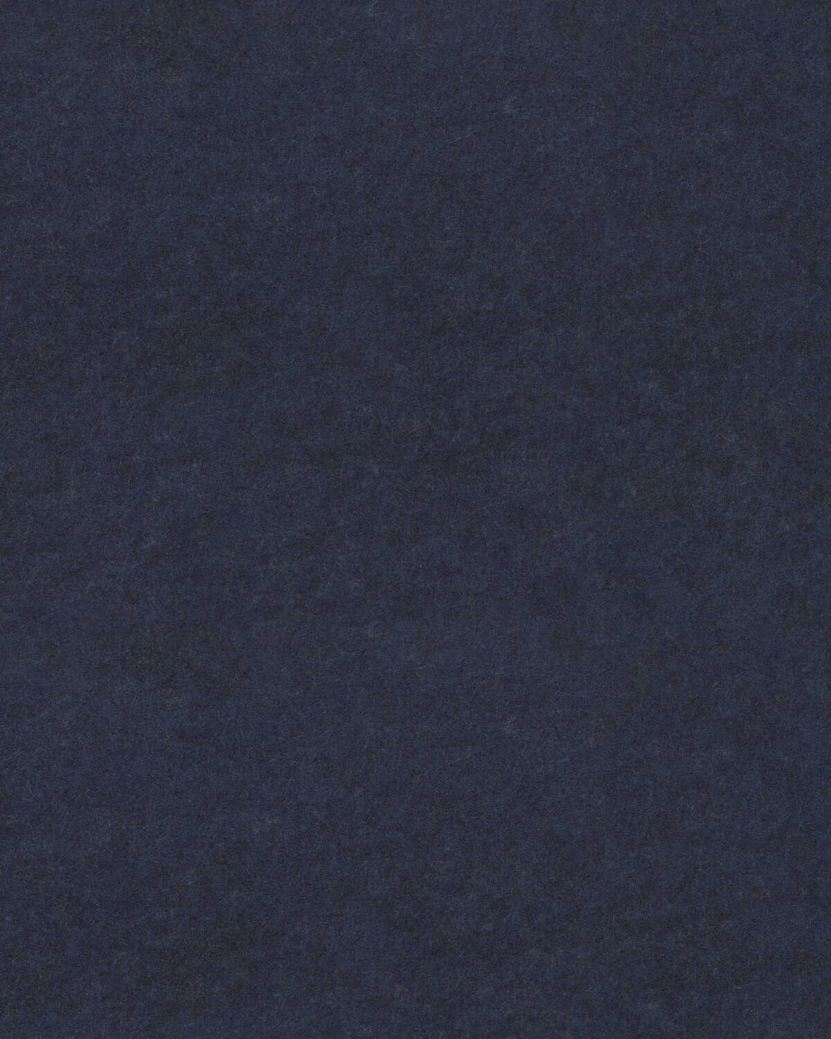 Repose - Navy - WINFIELD THYBONY Wallpaper