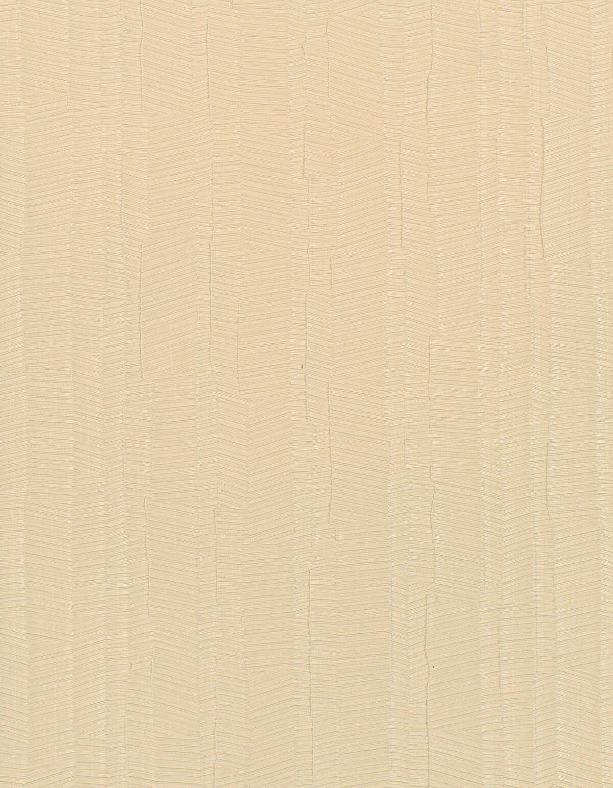 Mangrove - Daylight - WINFIELD THYBONY Wallpaper