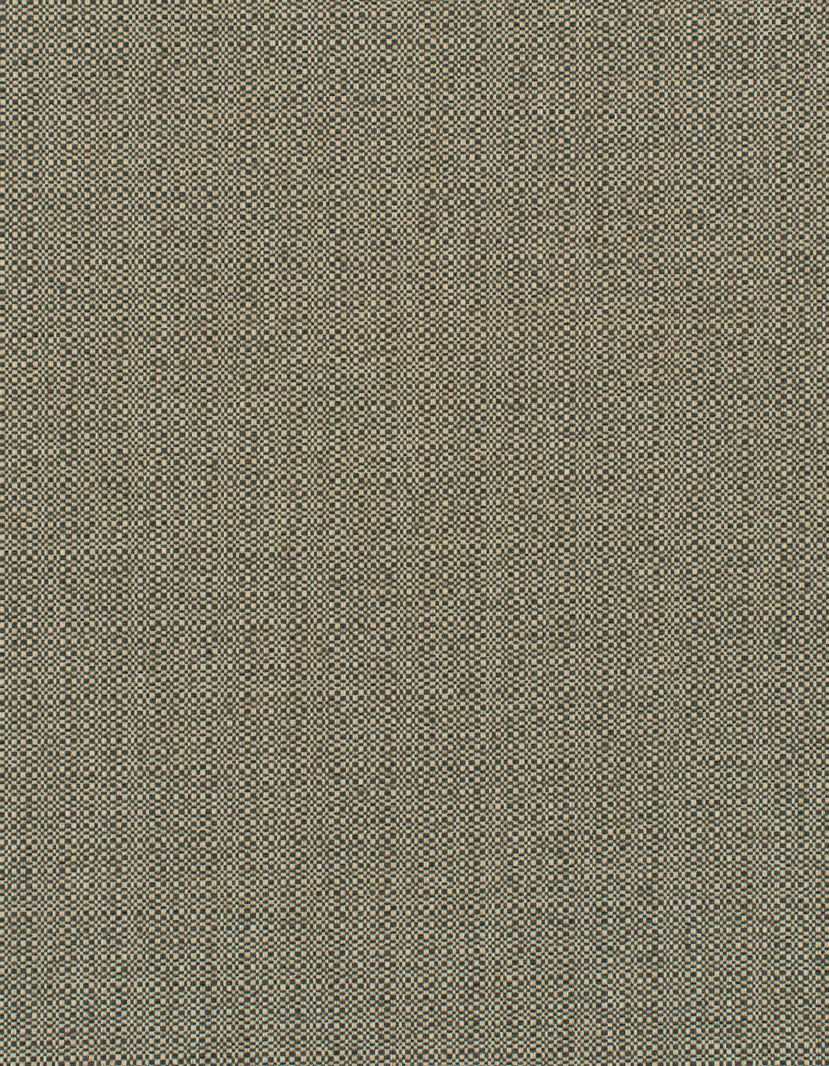 Barron - Woodland - WINFIELD THYBONY Wallpaper