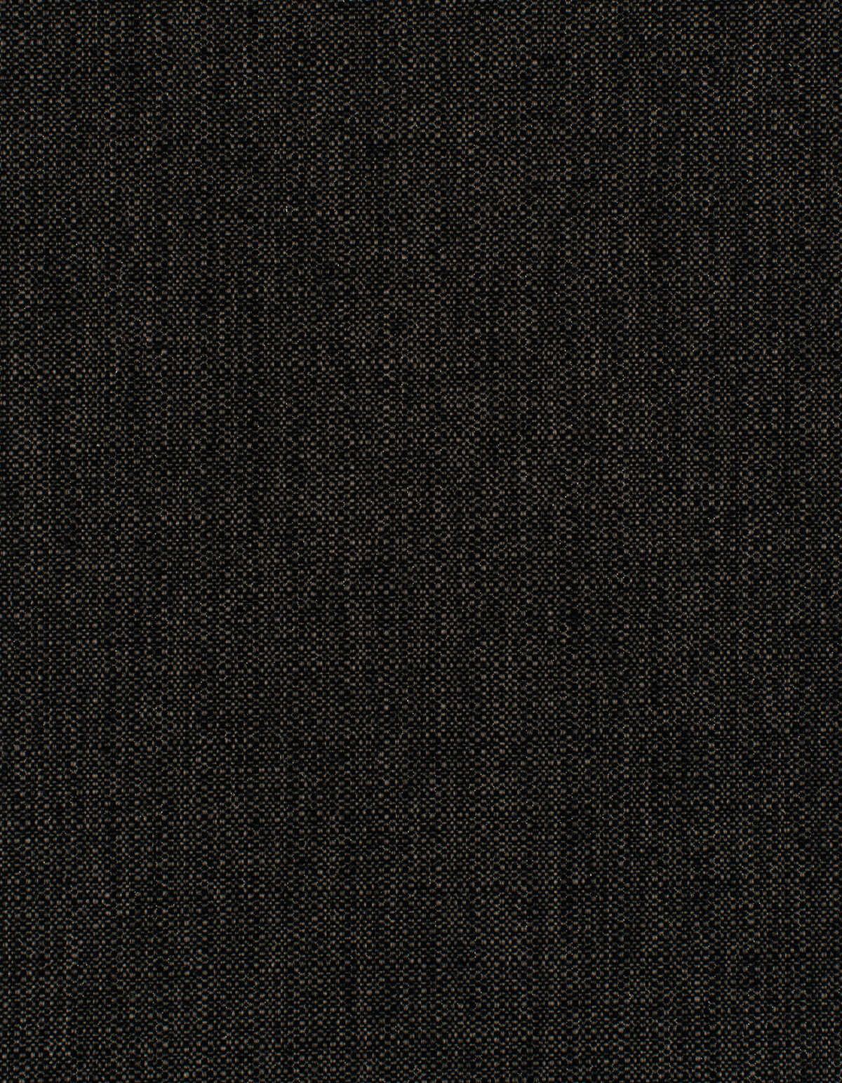 Barron - Midnight - WINFIELD THYBONY Wallpaper