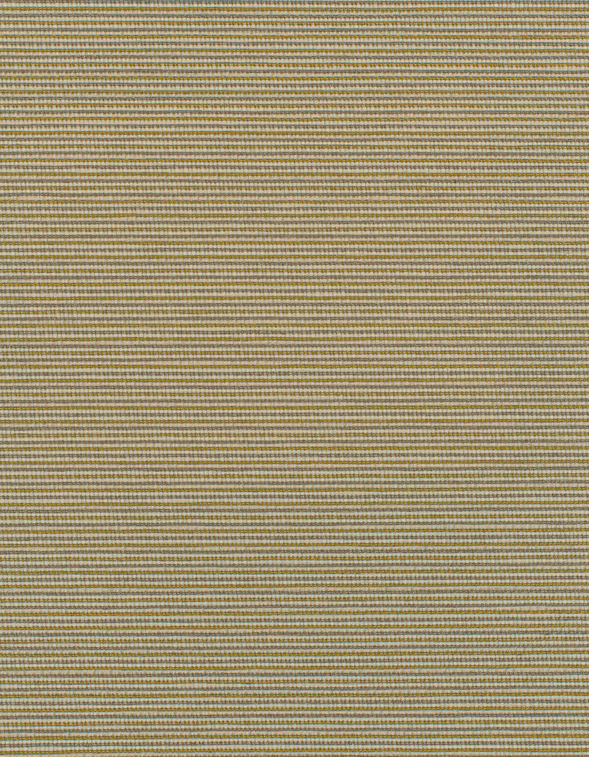 Elza - Wild Rice - WINFIELD THYBONY Wallpaper