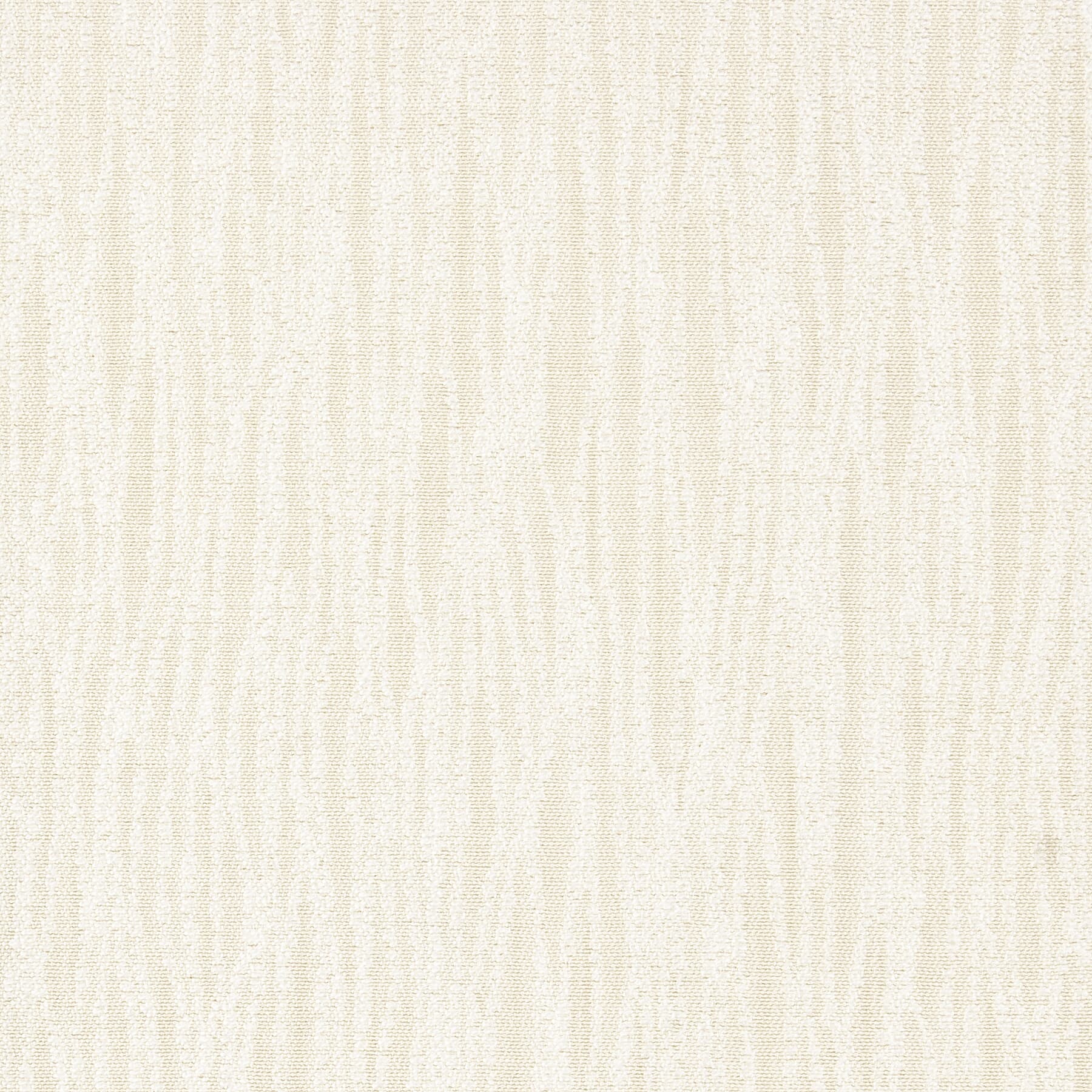 Webster 1 Shell by Stout Fabric