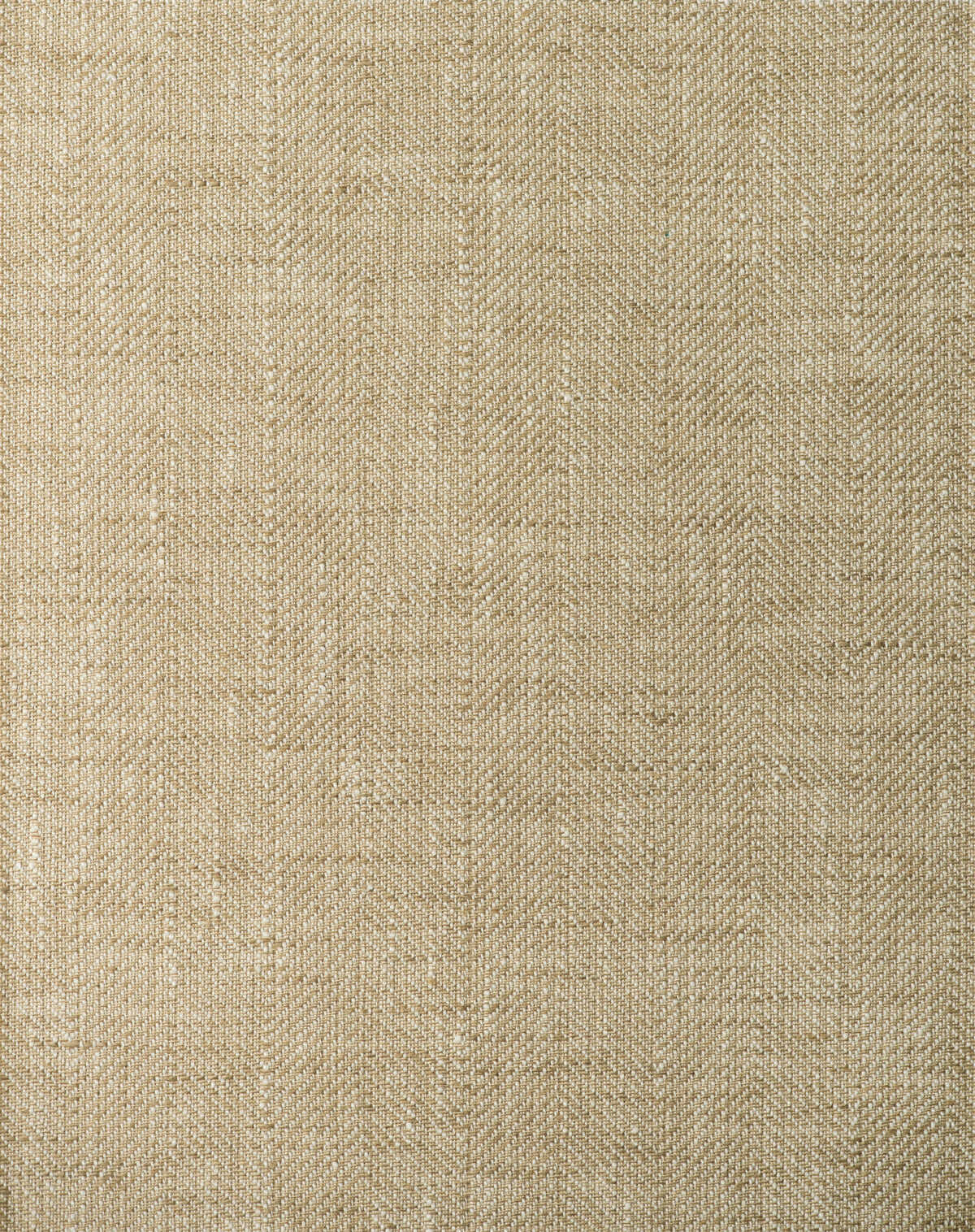 Callcott - Biscotti - WINFIELD THYBONY Wallpaper