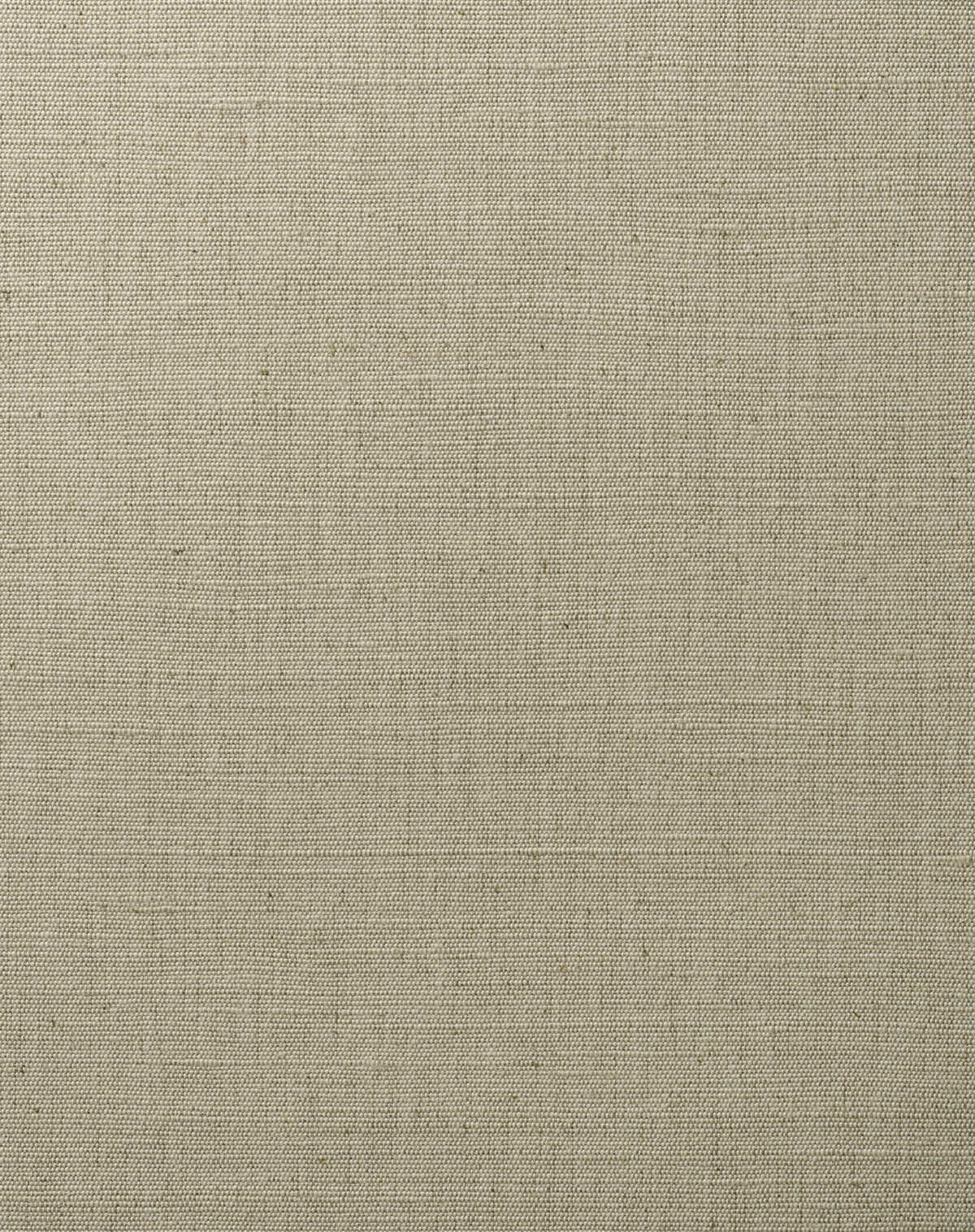Delaine - Pumice - WINFIELD THYBONY Wallpaper