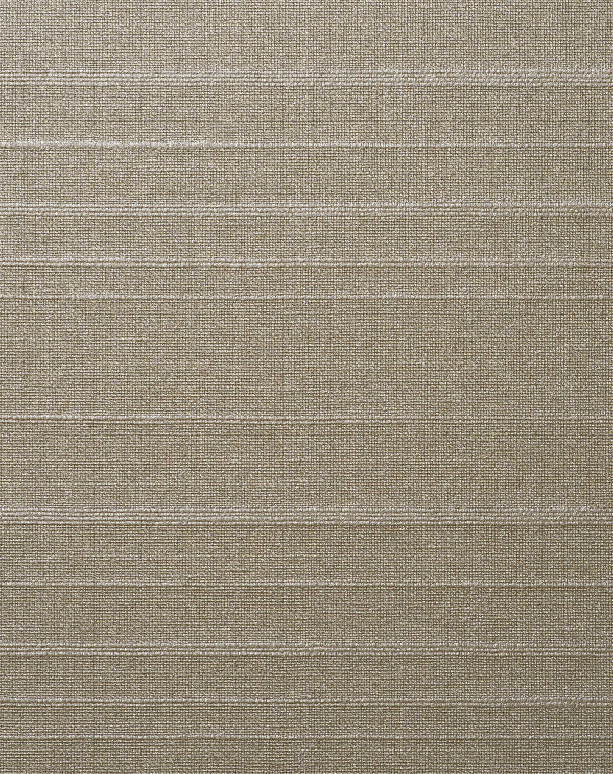 Linwood - Clam Shell - WINFIELD THYBONY Wallpaper