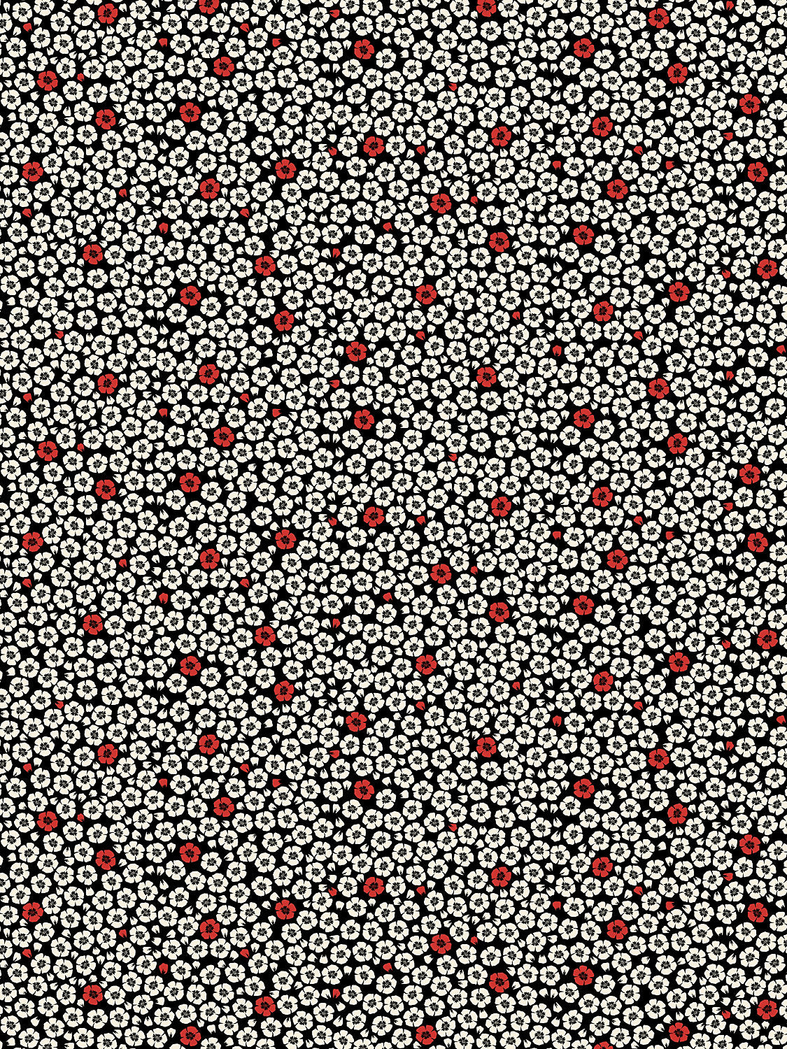 Coquelicot - Noir