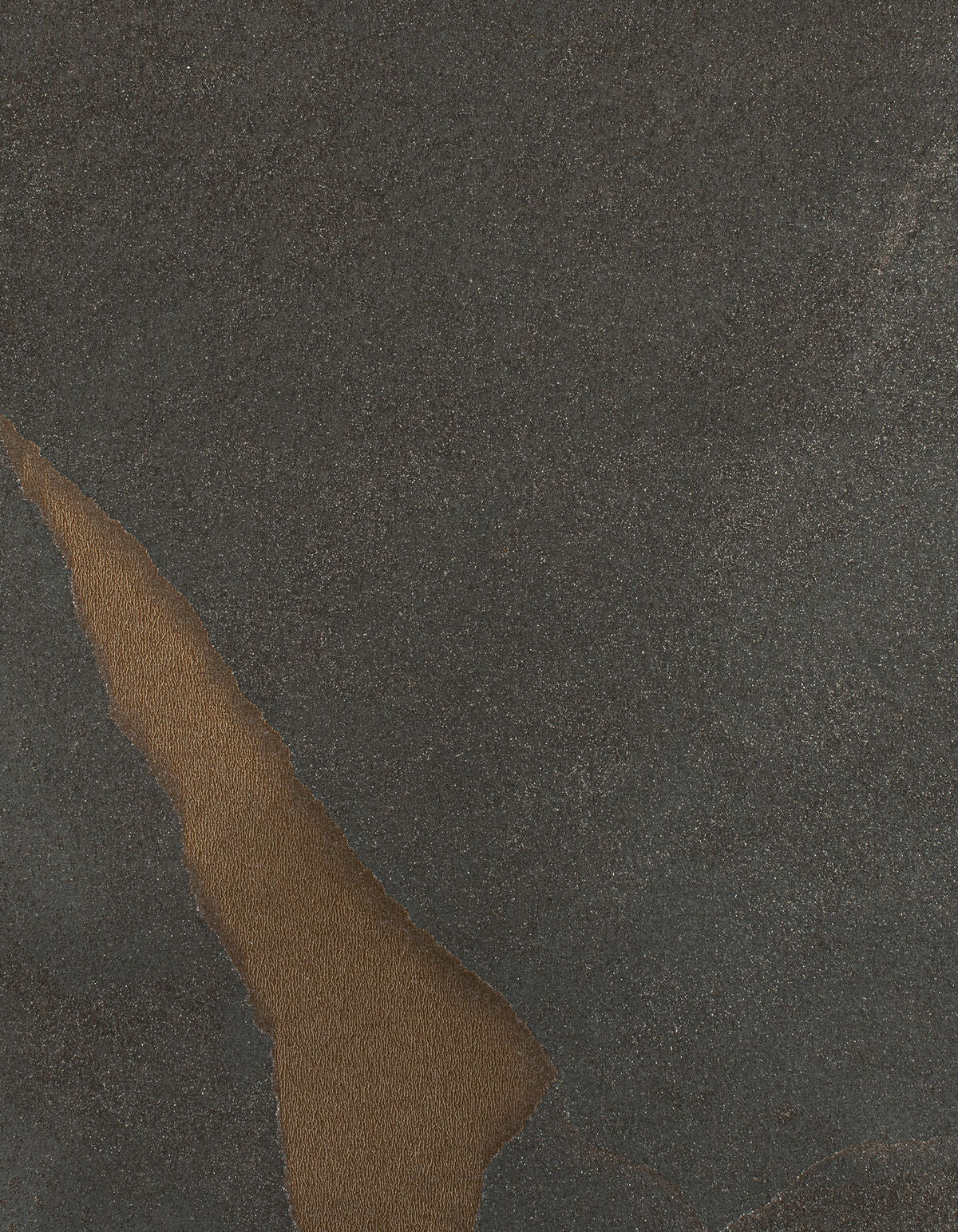 Calder - Vintage - Winfield Thybony Wallpaper