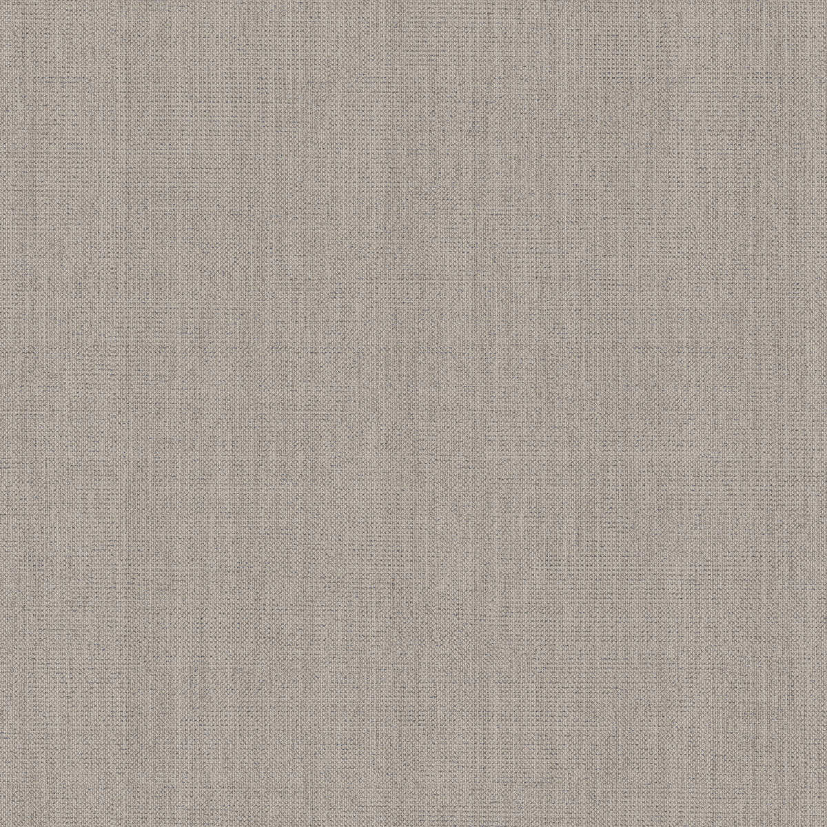 Conway - Sand - WINFIELD THYBONY Wallpaper