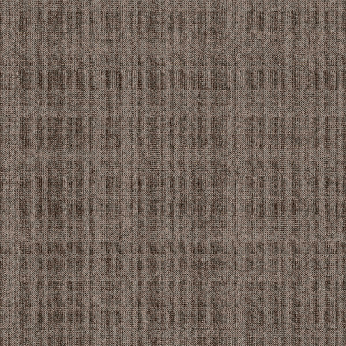 Conway - Bark - WINFIELD THYBONY Wallpaper