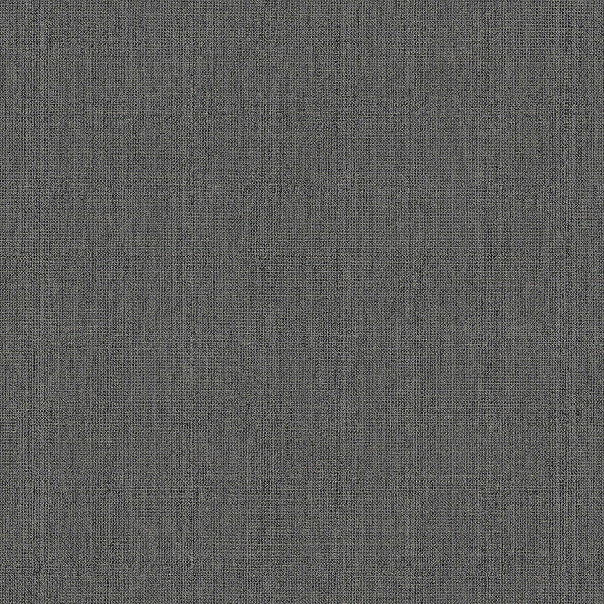 Conway - Charcoal - WINFIELD THYBONY Wallpaper