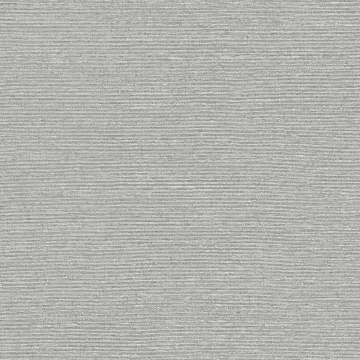 Radius - Birch - WINFIELD THYBONY Wallpaper