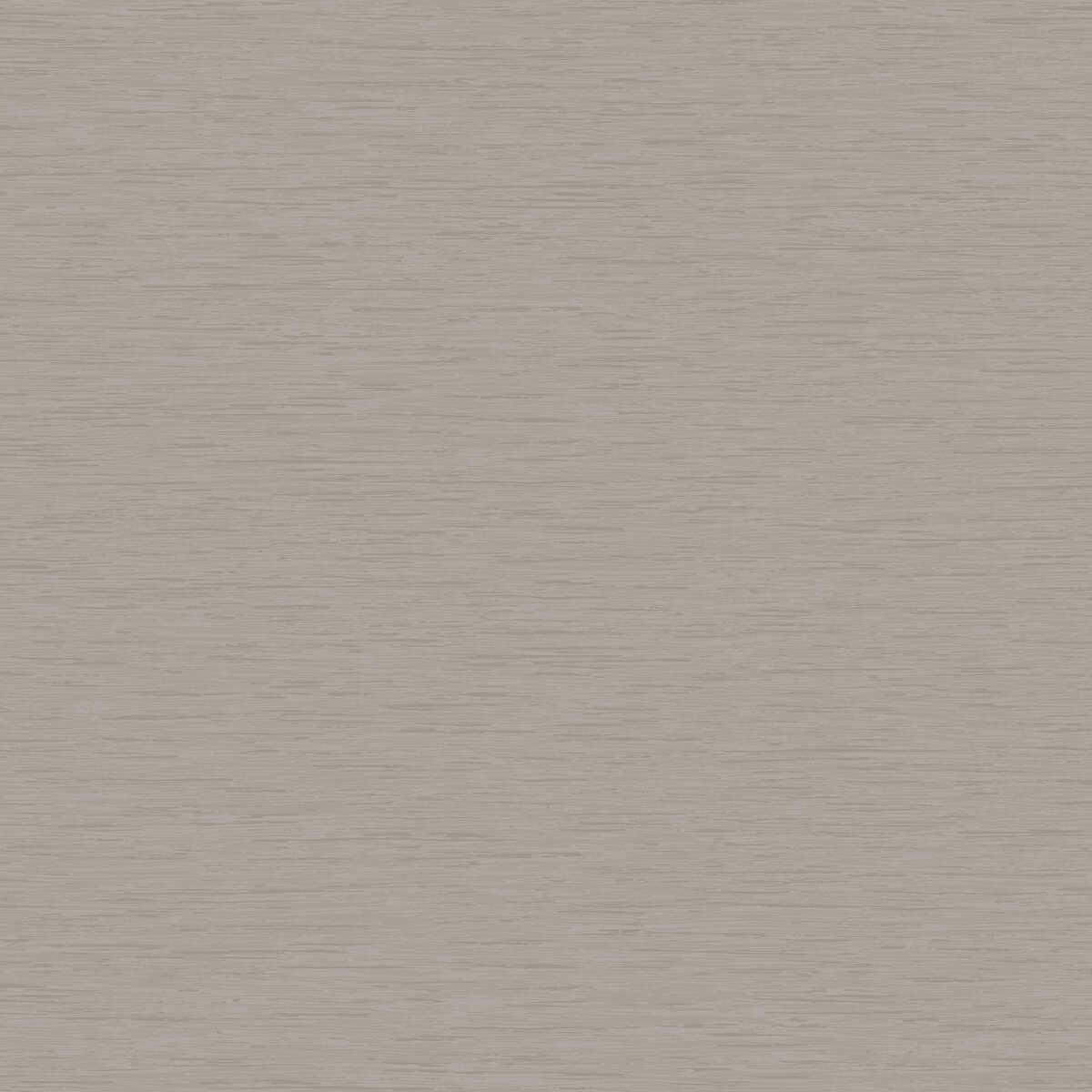 Drake - Bark - WINFIELD THYBONY Wallpaper
