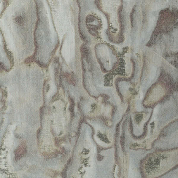 Abalone - Frost - WINFIELD THYBONY Wallpaper