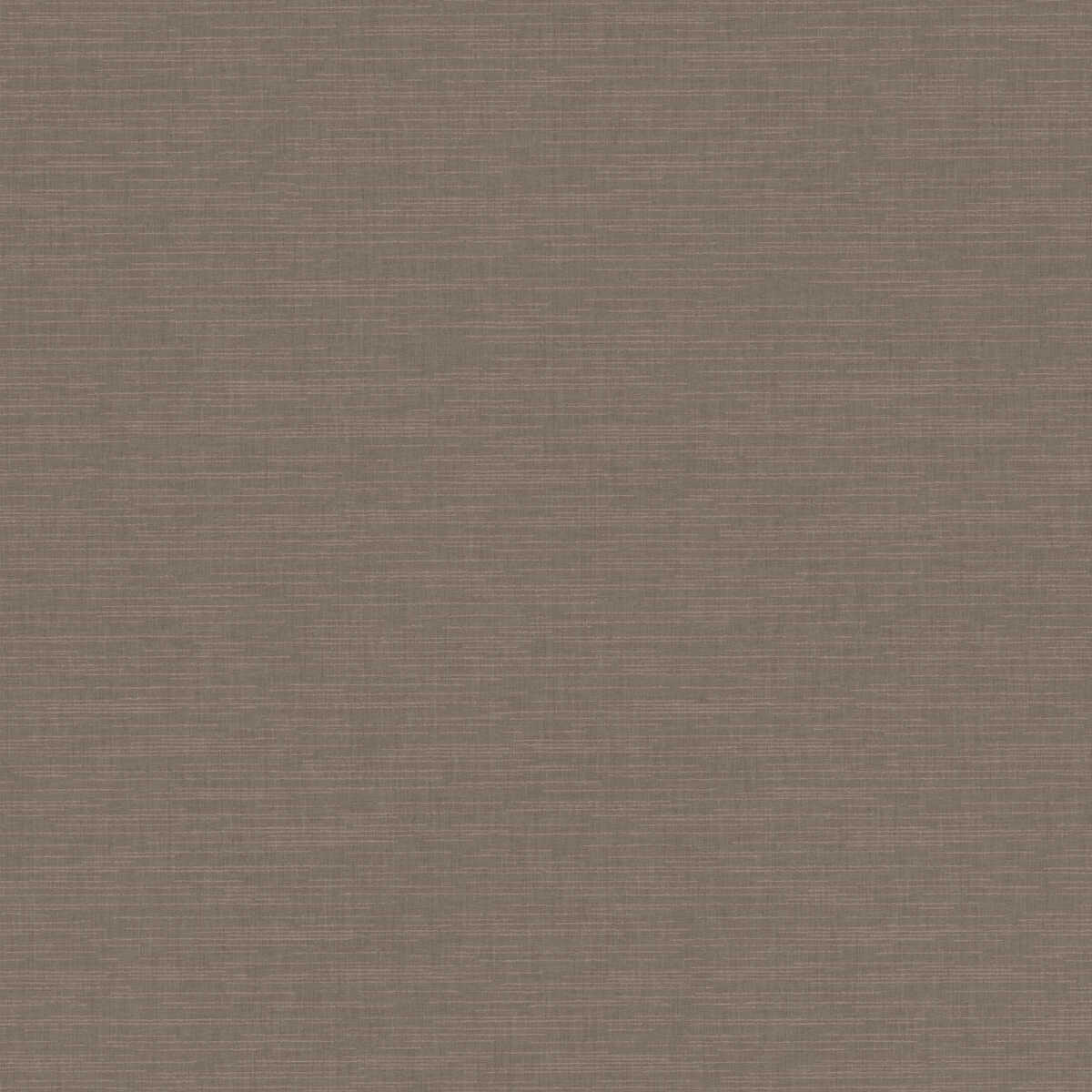 Tannin - Smoke - WINFIELD THYBONY Wallpaper