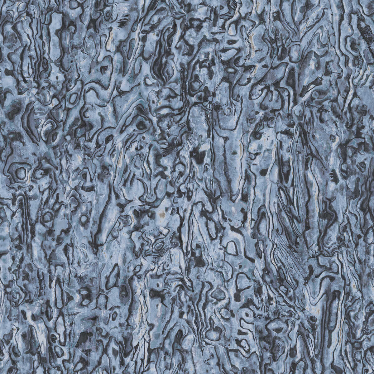 Abalone - Azure