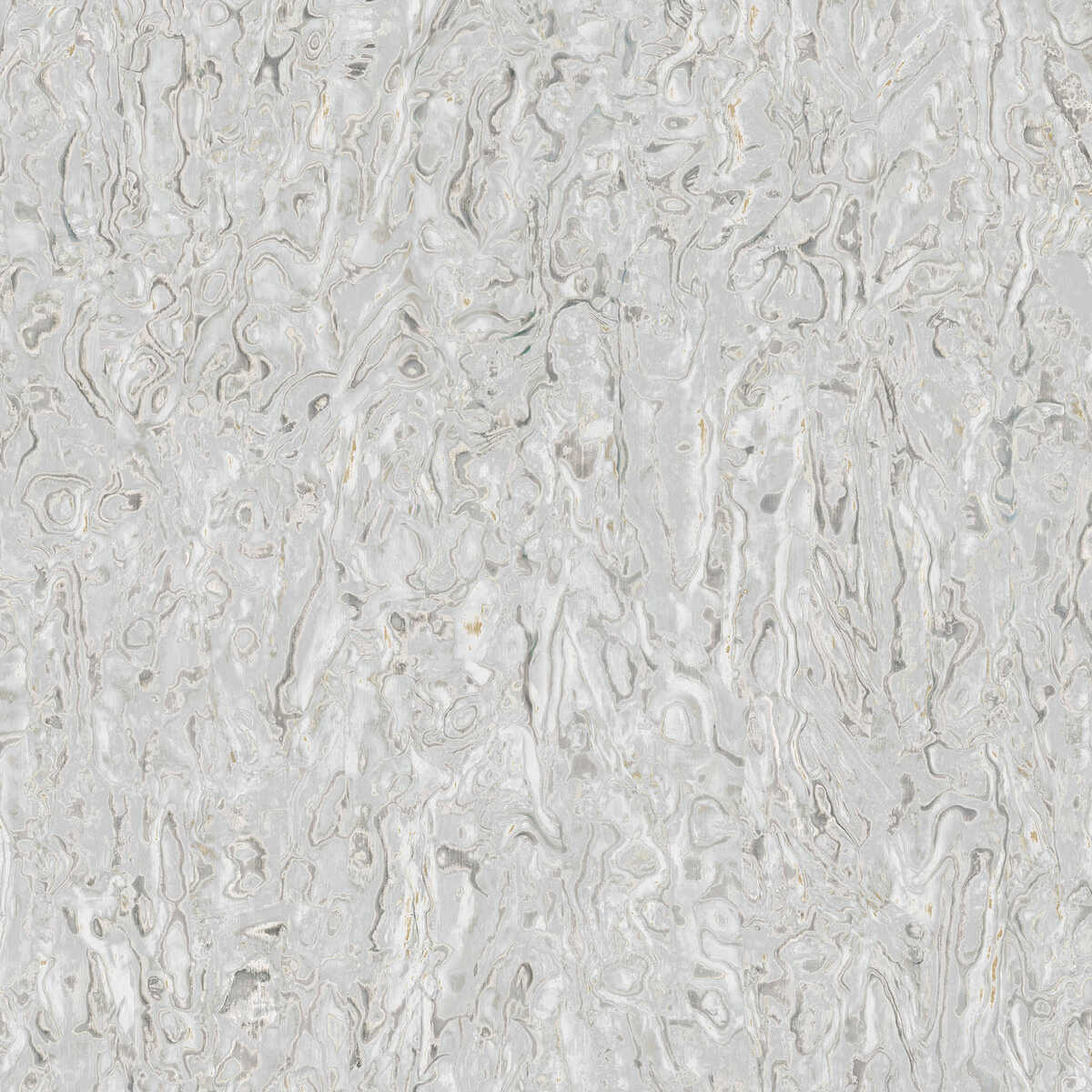 Abalone - Dove - WINFIELD THYBONY Papel pintado