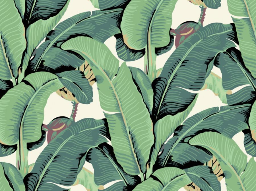 Hinson Palm - Wide Width wallpaper in Green by Hinson - Hinson Wallpaper