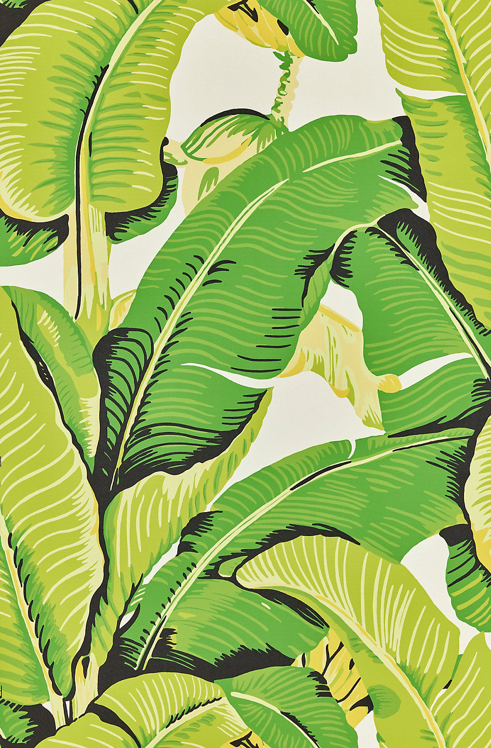 HINSON PALM Mojito WHN 44000M 0001 Scalamandre Wallcovering