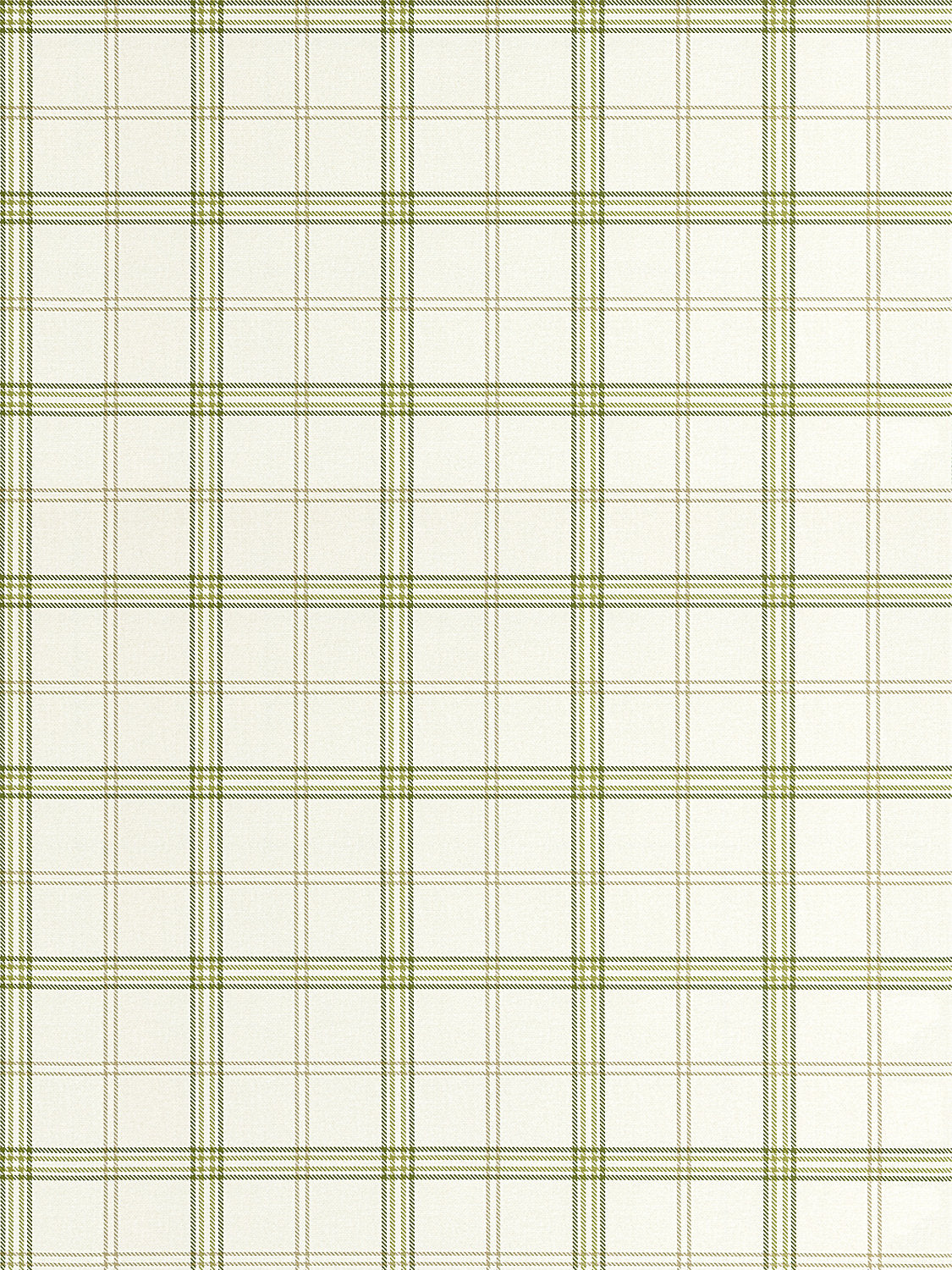 Ezra Plaid - Olive