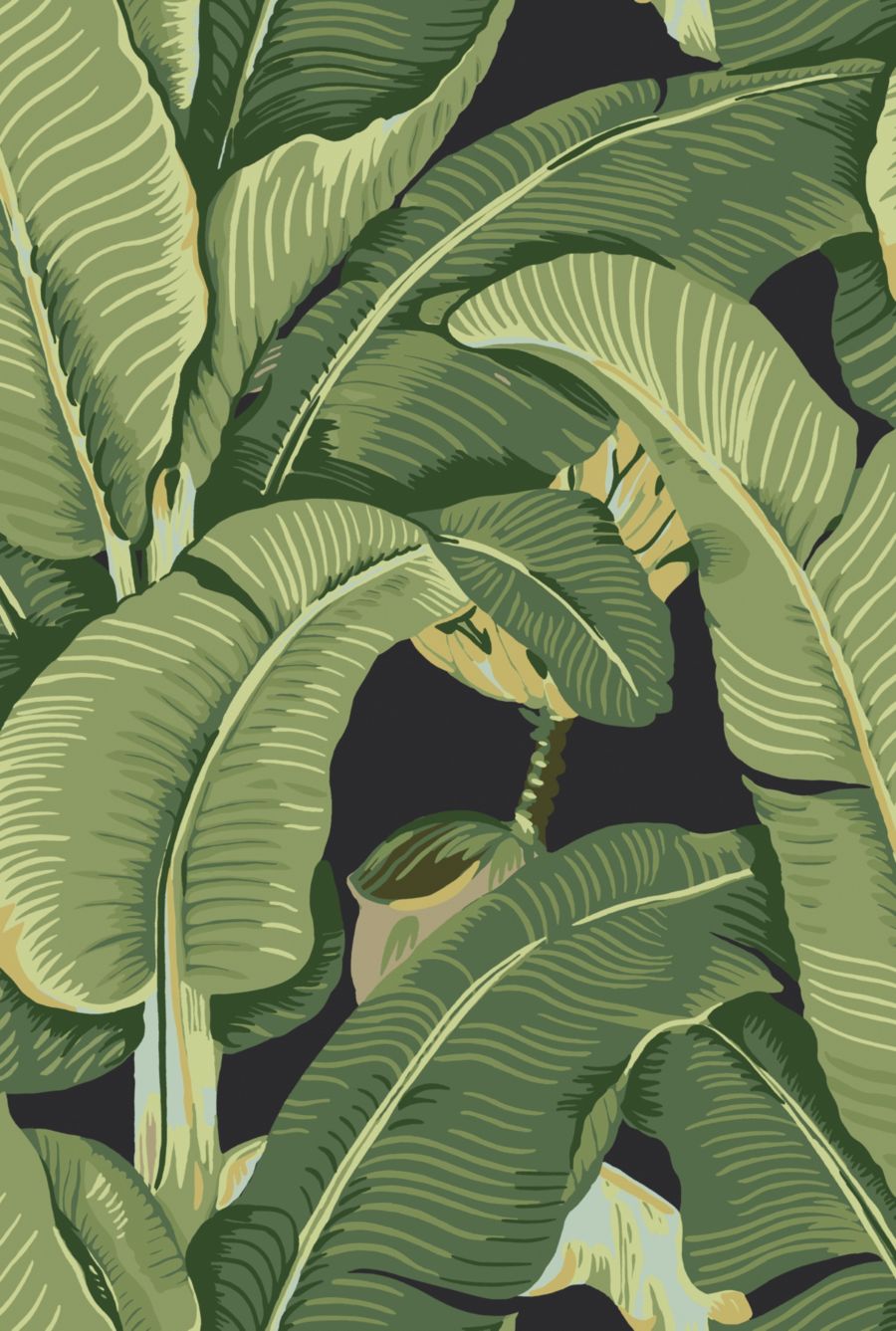 Hinson Palm wallpaper in Absinthe by Hinson