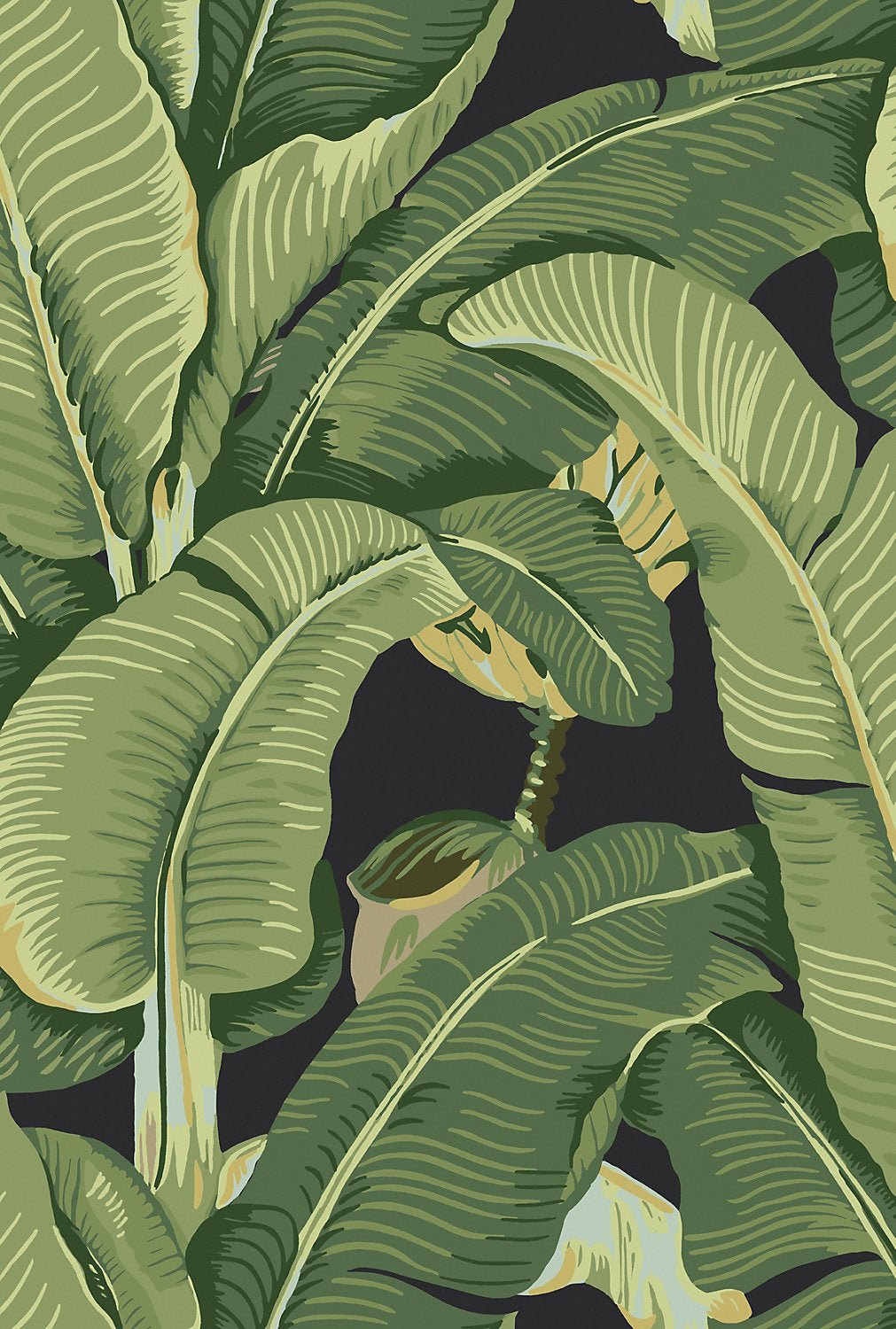 Hinson Palm - Absinthe - Scalamandre Wallpaper