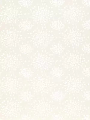 Fireworks - White On Off-White