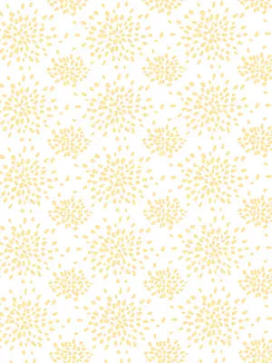 Fireworks - Yellow On White